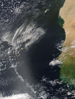 Imagen única: Nubes ondulatorias al oeste de África