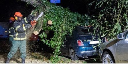 Entre 4 y 5 muertos ha dejado el paso de Herwart en Alemania, Polonia y la República Checa. Los daños son cuantiosos y el transporte en general se ha visto muy afectado. Entre 4 y 5 muertos ha dejado el paso de Herwart en Alemania, Polonia y la República Checa. Los daños son cuantiosos y el transporte en general se ha visto muy afectado.