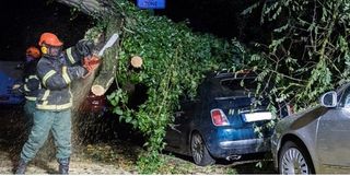 La intensa borrasca Herwart deja muertes y daños en Centro Europa
