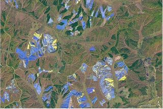 Colores desde el espacio: granjas de ginseng en el norte de China