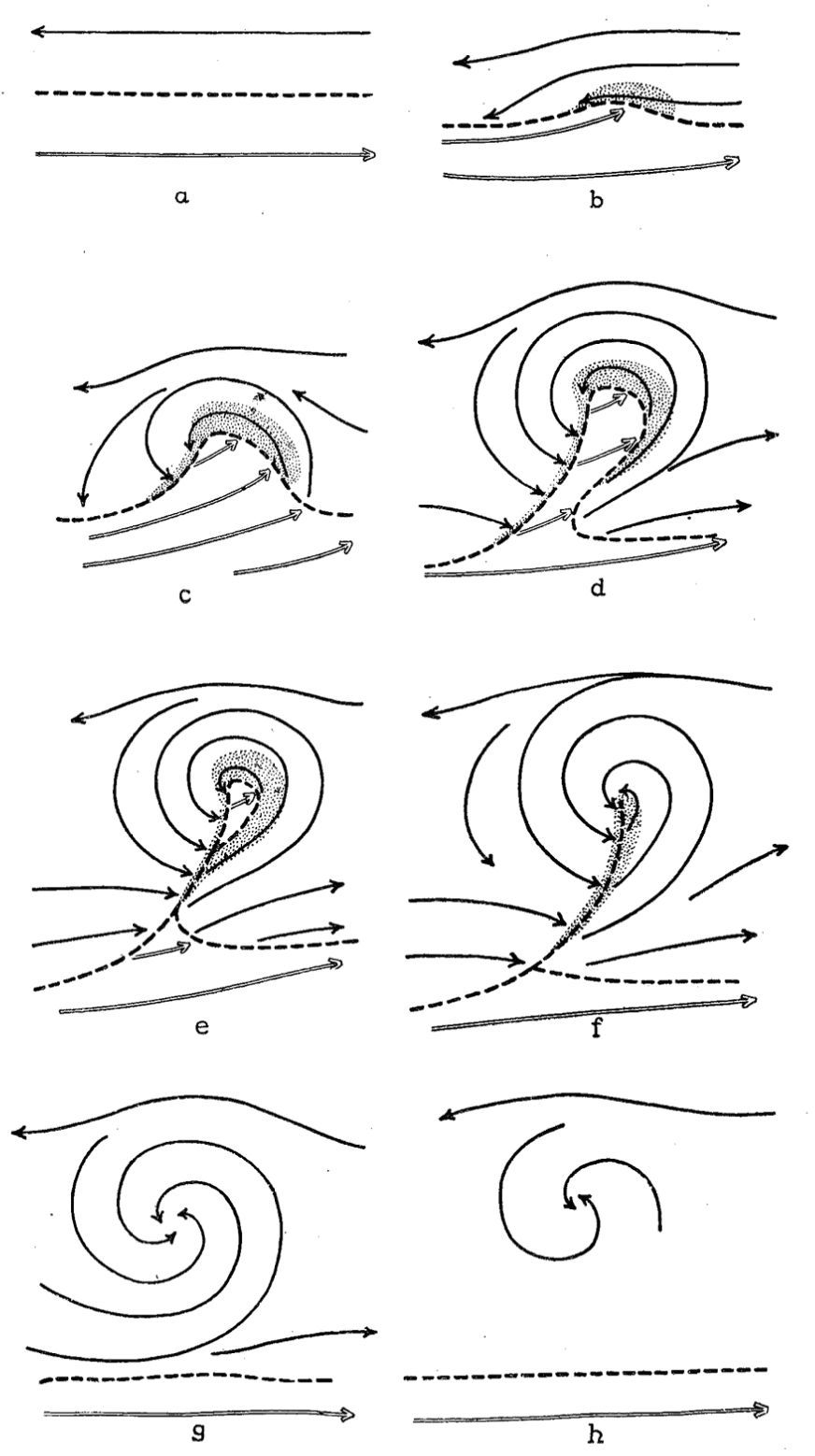 Fig. 5.- Una zona frontal o baroclina (o frente) es una franja en la que están en contacto próximo dos masas de aire, frío y cálido, bien diferenciadas. De hecho hay una zona frontal principal, llamada Frente Polar, que, con cierta continuidad, da la vuelta al mundo, a latitud media, separando el aire polar del aire subtropical. Cuando, por cualquier motivo, se empieza a ondular la zona frontal en algún punto, esa ondulación inicial crece y crece, separándose el frente, inicialmente único, en cálido y frío, y continuando la evolución hasta la oclusión frontal, para acabar con la mezcla local y temporal de las masas de aire. La figura es de un célebre artículo de Bjerkness y Solberg, de 1926.