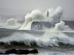 Oleaje, terror e imprudencia