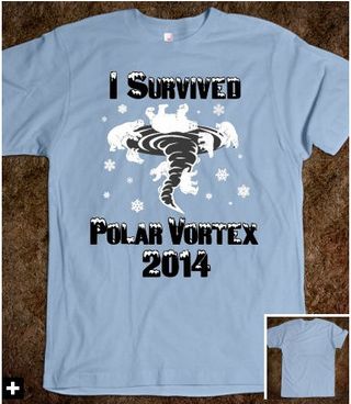 El negocio del vórtice polar de enero 2014