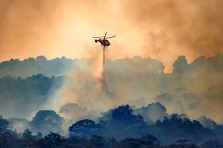 4 consejos para prevenir incendios forestales