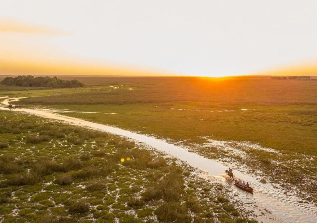 mejores destinos de naturaleza de Argentina para observar fauna nativa mejores destinos de naturaleza de Argentina para observar fauna nativa