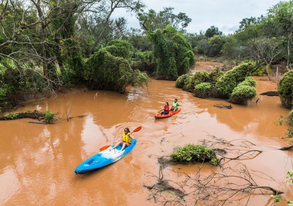mejores destinos de Argentina para conocer y explorar la naturaleza mejores destinos de Argentina para conocer y explorar la naturaleza