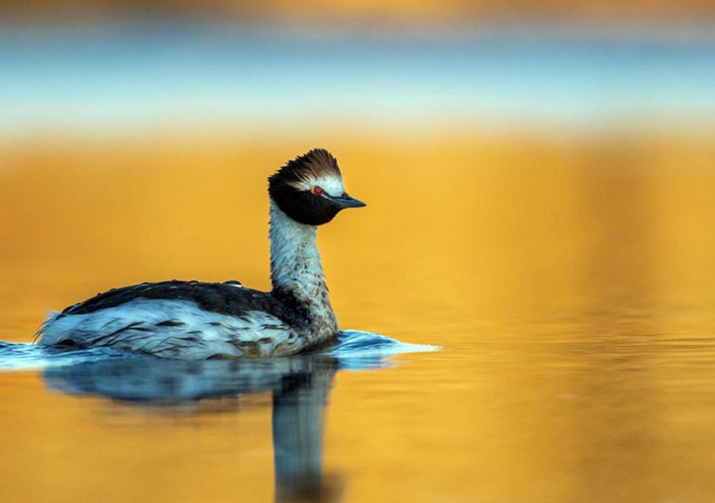 mejores destinos de argentina para descubrir la naturaleza mejores destinos de argentina para descubrir la naturaleza