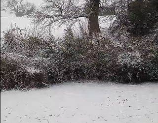 4 inches of snow brings disruption to Wales as freezing weather sets record