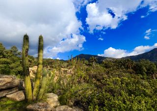 4 rutas en los alrededores de Valparaíso para practicar senderismo