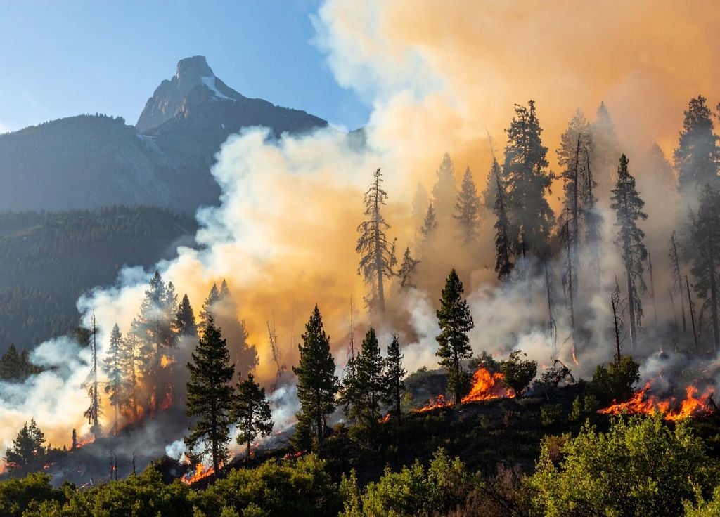 Le risque d'incendies est exacerbé lors des épisodes de canicule Le risque d'incendies est exacerbé lors des épisodes de canicule