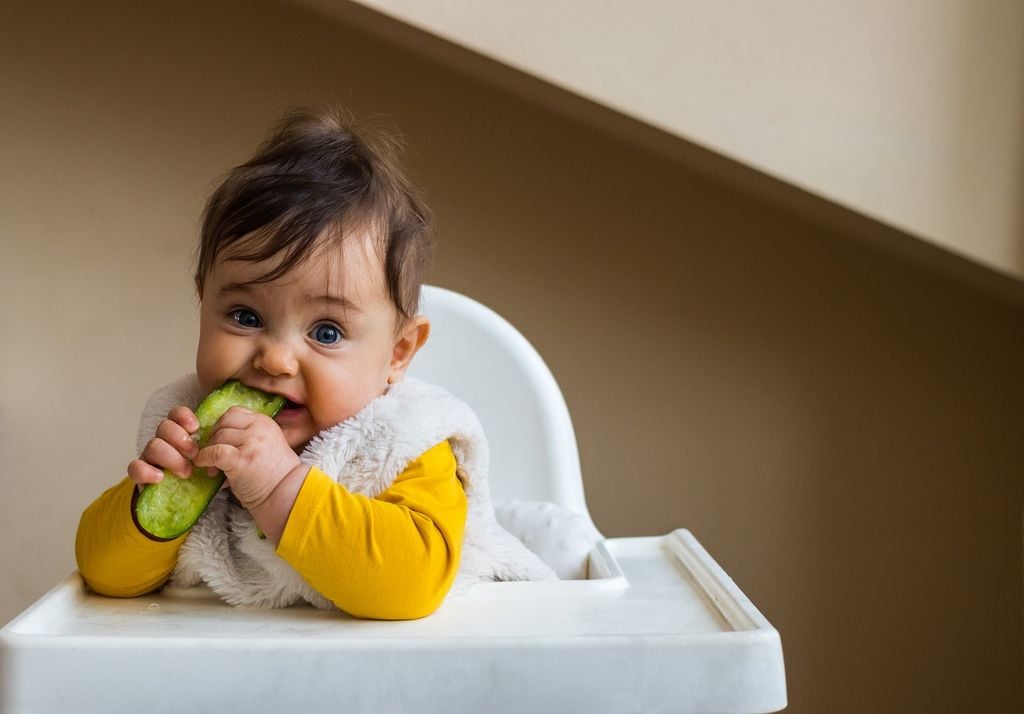 bebé en una silla de alimentación, colocando en su boca una porción de pepino