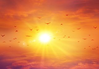 Hitzesommer in Deutschland: Rekorde wackeln! Bis zu 40°C bei Hamburg