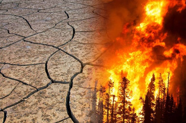 cambio climático cambio climático