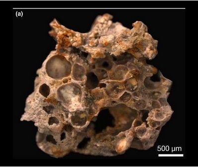 Burbujas fosilizadas en una zona cianobacteriana microbiana fosfatada de 1.600 millones de años de Vindhyan Supergroup, India central. Crédito: Stefan Bengtson.