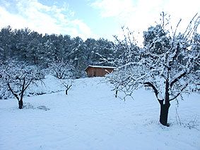 ¿Este frío en primavera es normal? ¿Cuándo se acabará?