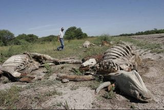 Una costosa sequía en Argentina