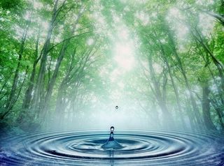 El agua en fotos: concurso