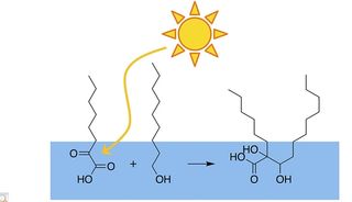 La luz y las grandes moléculas