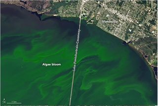 Colorido Lago Pontchartrain