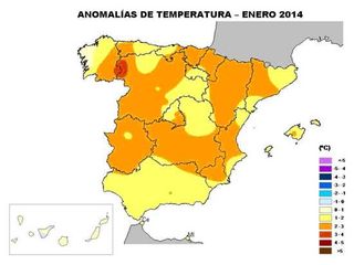 Enero, húmedo y muy cálido 