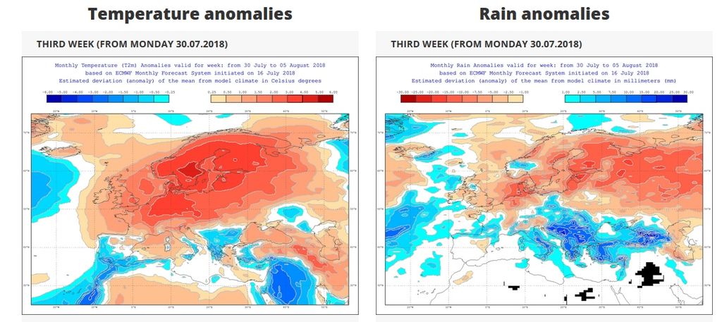 Foto 1: Mapas de Anomalías de temperatura y precipitación para la semana del 30.07.2018 Foto 1: Mapas de Anomalías de temperatura y precipitación para la semana del 30.07.2018