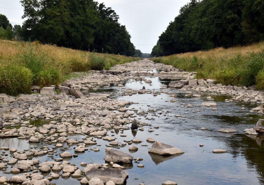 Viele Bäche und Flüsse haben kaum noch Wasser, trocknen weiter aus.