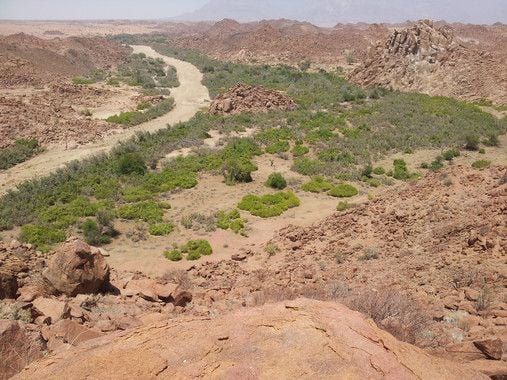 Los investigadores de la Universidad de Granada realizaron un muestreo en varios ríos intermitentes de Namibia, como el Ugab (en la fotografía). Crédito: Marcos Moleón Paiz
