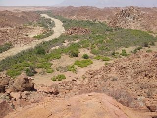 Estiaje fluvial y emisiones de CO2