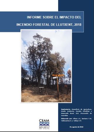 Informe del CEAM sobre el impacto del incendio forestal de Llutxent