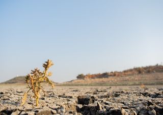 47°C in India: is such an extreme temperature ever possible in the UK?