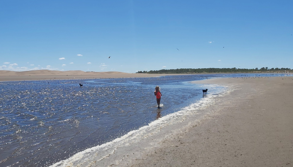 Marisol Provincia de Buenos Aires Marisol y sus postales de mar, río, dunas y vegetación se ubican a 615 km de la CIudad de Buenos AIres. Foto: X @mariquilovera