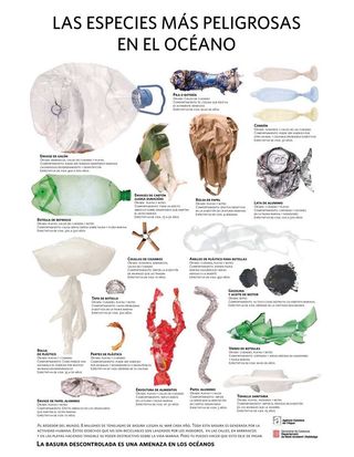 Las especies más peligrosas del mundo