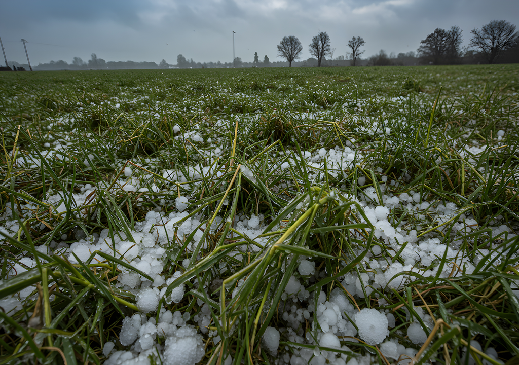 Landschaft, Hagelsturm, Wiese, Hagel, Zeichen, Wetterextreme