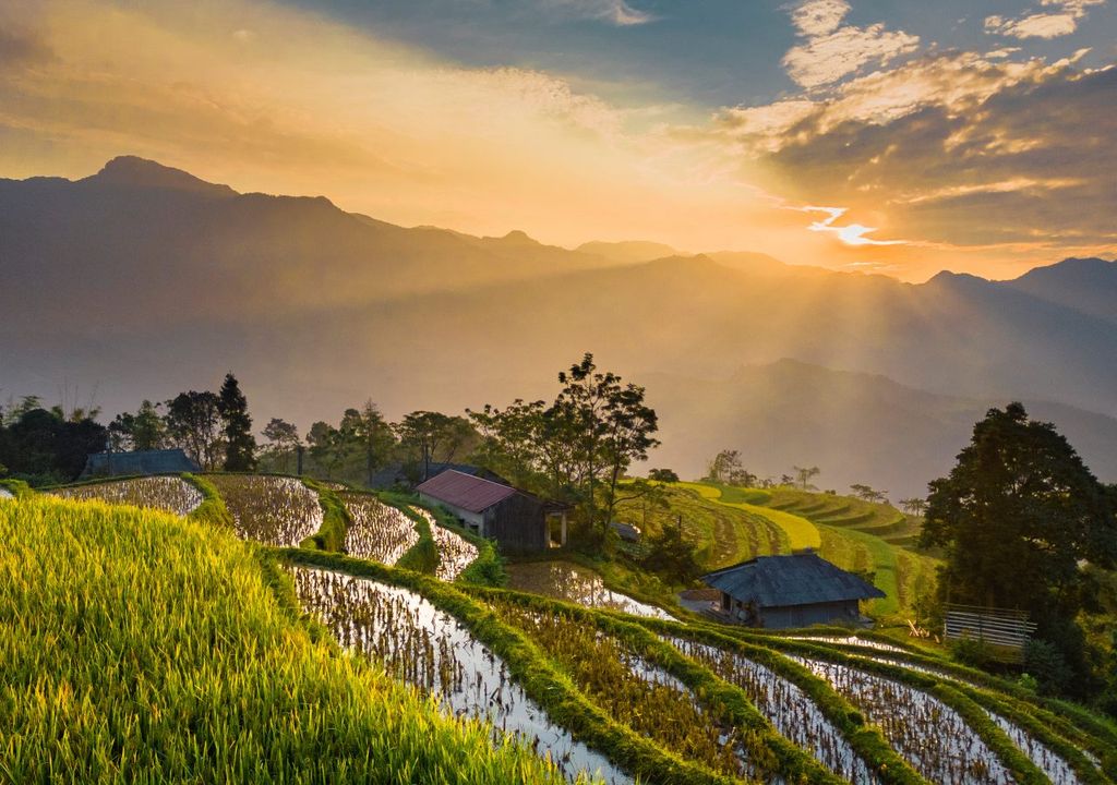 arroz, mudanças climáticas arroz, mudanças climáticas