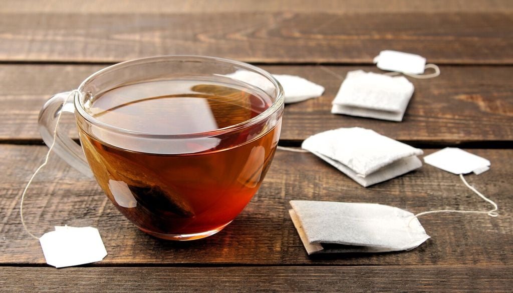 Produce teanina, una sostanza caratteristica del tè