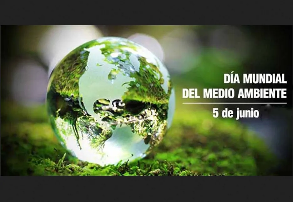 colegio caja Hacia arriba 5 de junio: Día Mundial del Medio Ambiente
