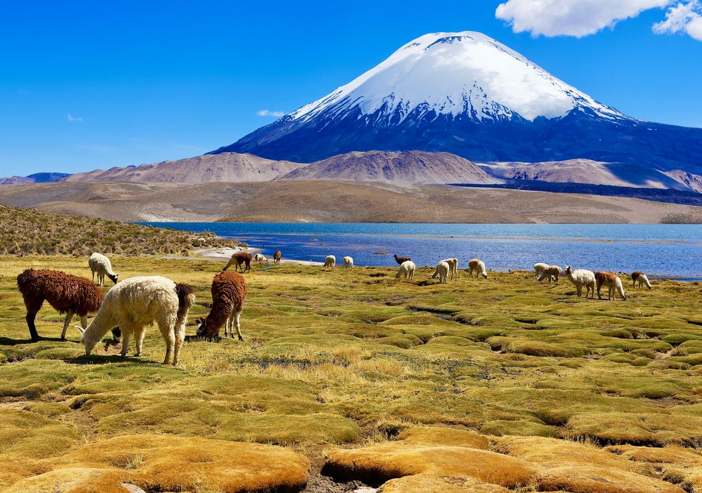 Lago Chungará, Parque Nacional Lauca, Arica y Parinacota.