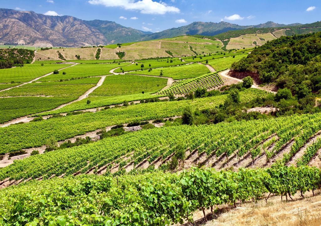Valle de Colchagua.