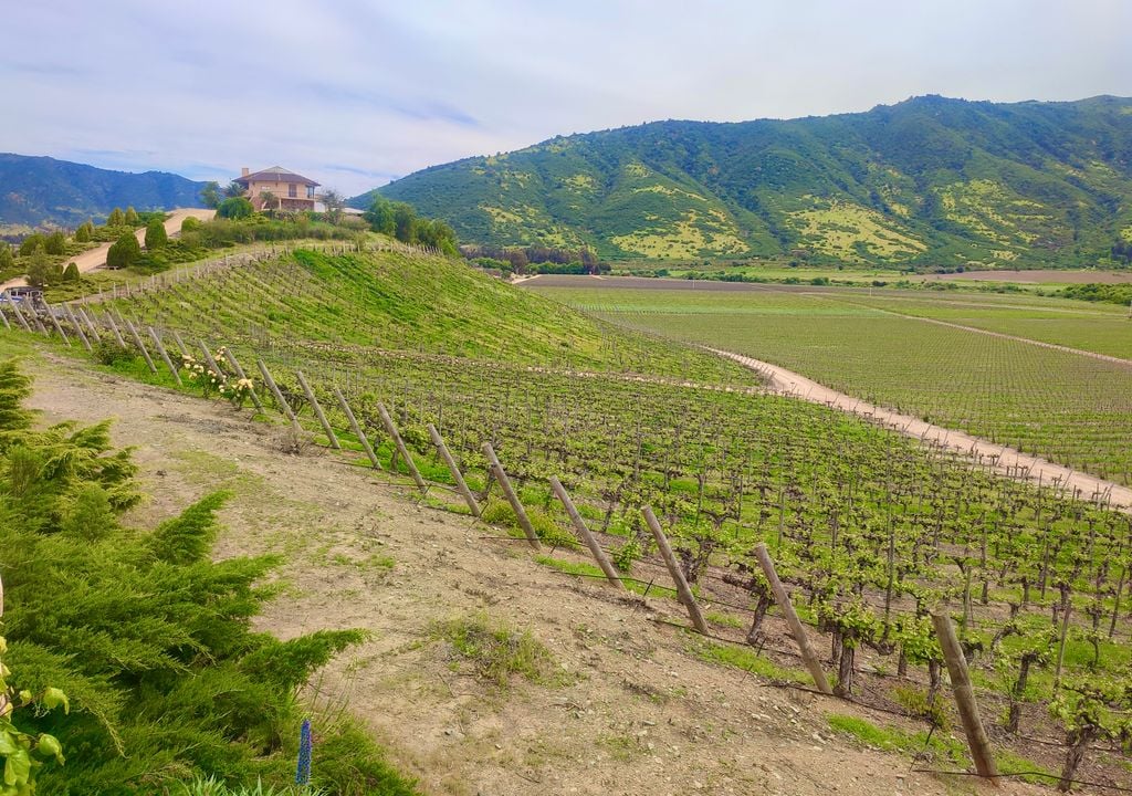 Valle de Colchagua, destino para viajar en Semana Santa. El Valle de Colchagua es un excelente destino para visitar en abril. Crédito: Catalina Contreras.