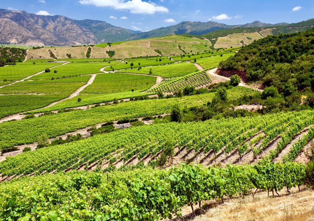Valle de Colchagua. El Valle de Colchagua es un destino imperdible para los amantes de los vinos.