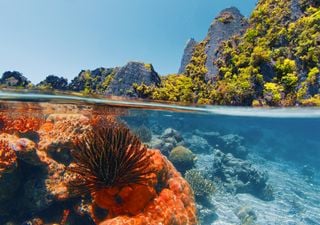 5 destinos virales que podrían perder su encanto por el turismo masivo (y sufren un grave riesgo ecológico)