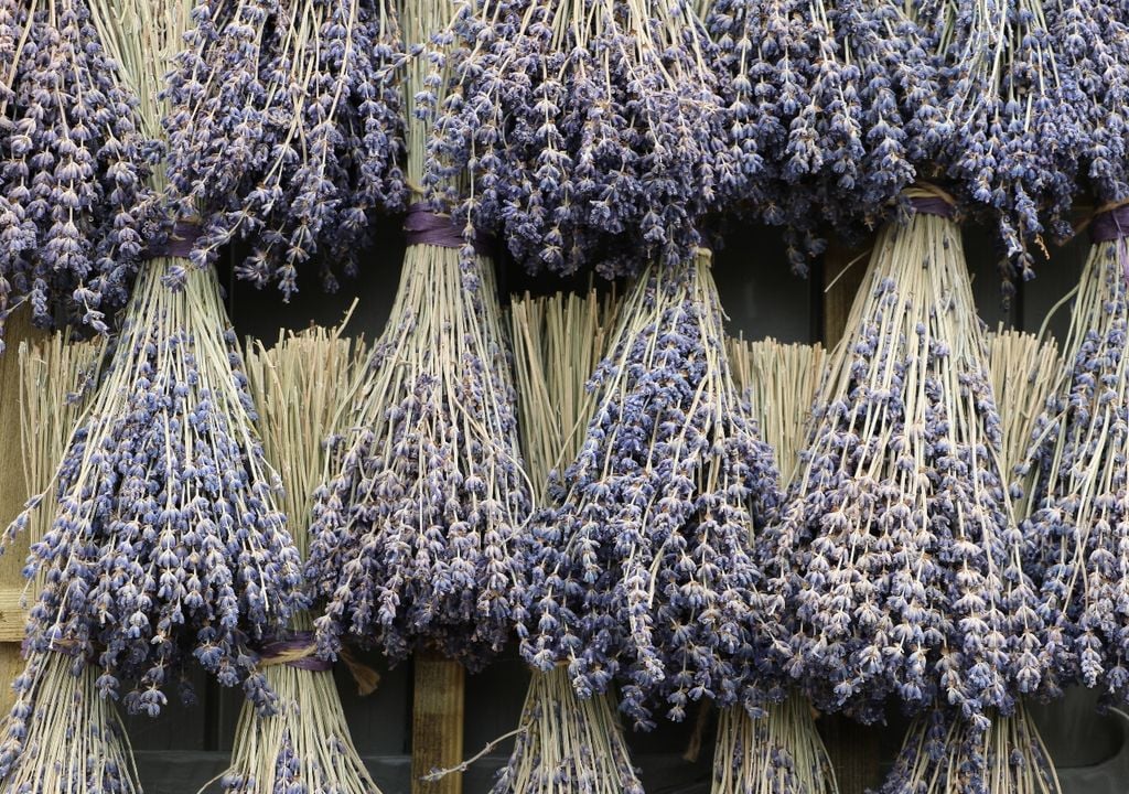 En la ducha, el vapor activa el perfume y lo vuelve más intenso.