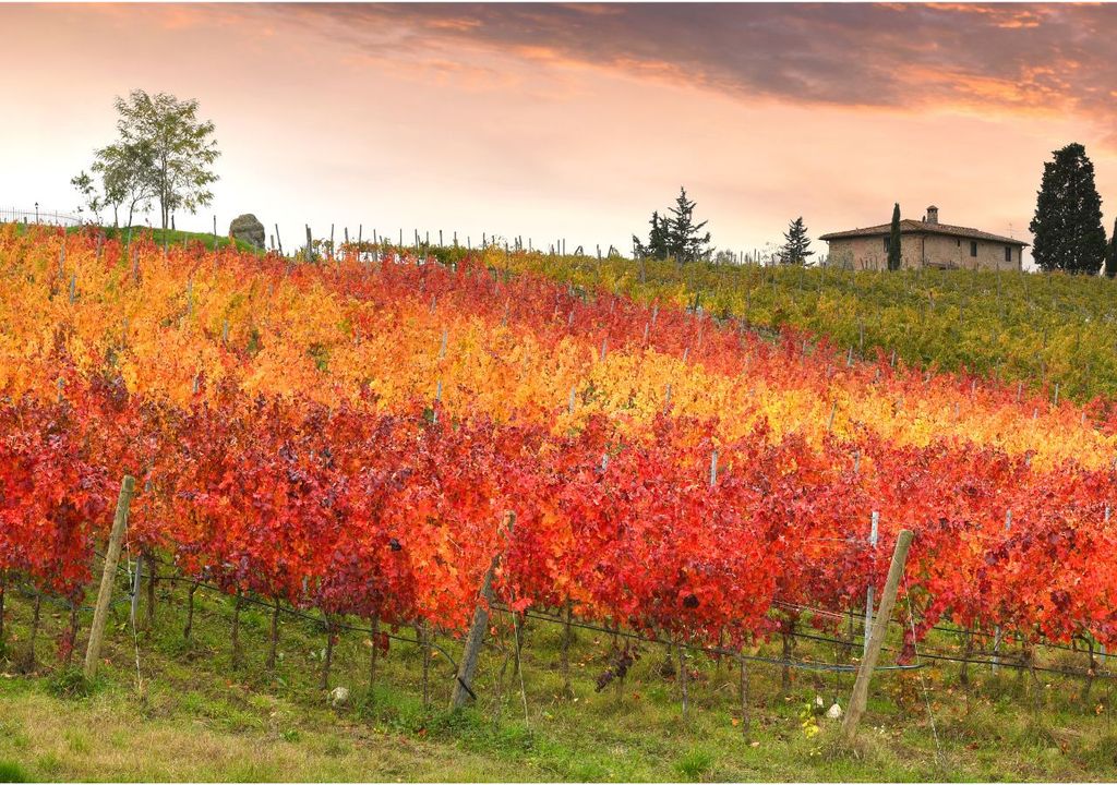 weekend d'autunno weekend d'autunno