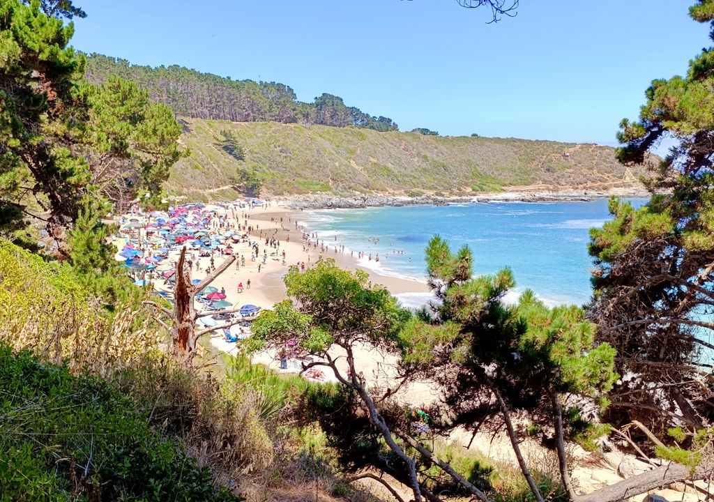 El Canelo, Algarrobo. El Canelo, Algarrobo.