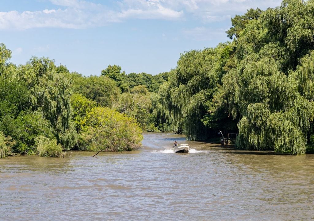 Islas del Tigre Islas del Tigre