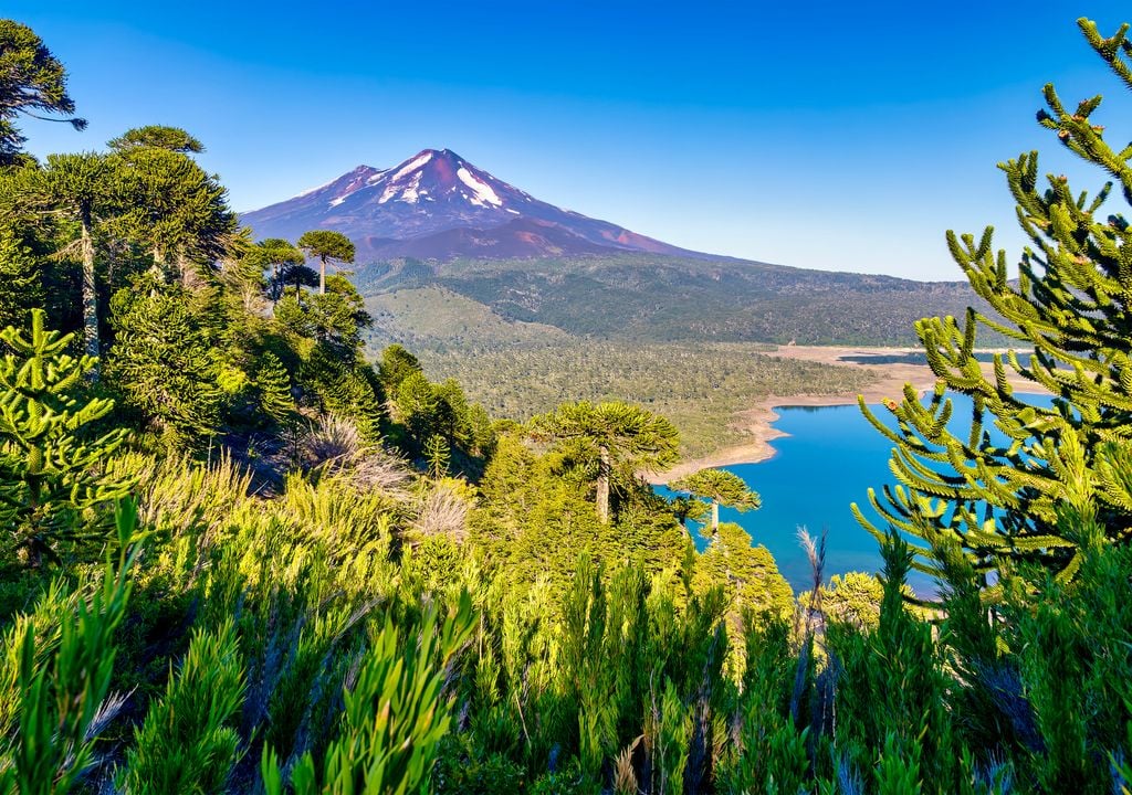 Parque Nacional Conguillío en primavera.