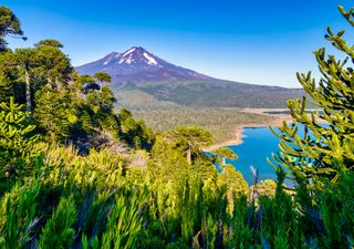 5 Parques Nacionales de Chile a los que les sienta de maravilla la primavera