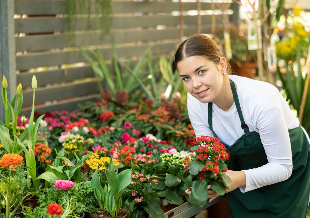 Plantas pequeñas y resistentes al calor extremo, ideales para balcones y patios durante el verano argentino.