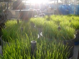 Nuevas estrategias de mitigación de gases de efecto invernadero