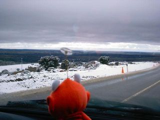 La “Kedada” de aficionados del 16N: Visita al INM Reportaje fotográfico (II)